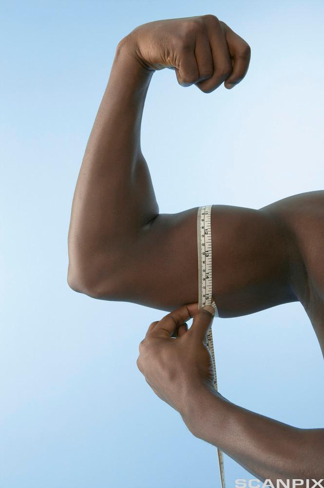 En person måler omkretsen av en stram biceps. Foto.