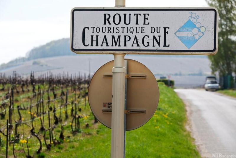 Et skilt ved en vinmark som viser til turistvei i Champagne-distriktet. Foto.