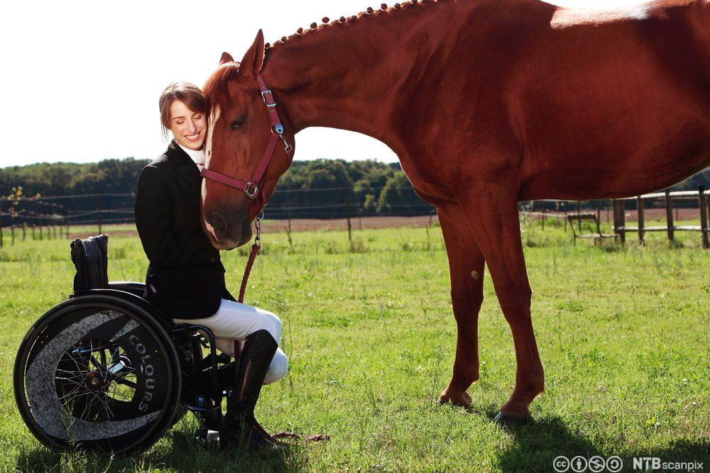 Hest og jente i rullestol. Foto.