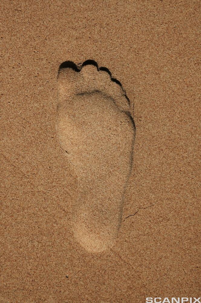 Fotspor i sanden.Foto.