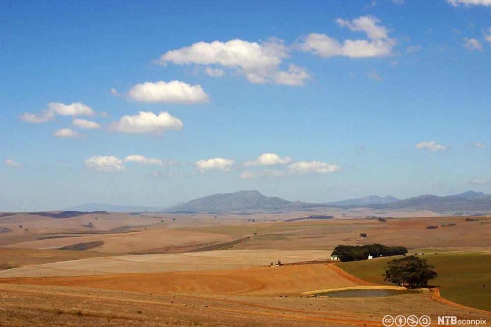 South African Landscape. Photo.