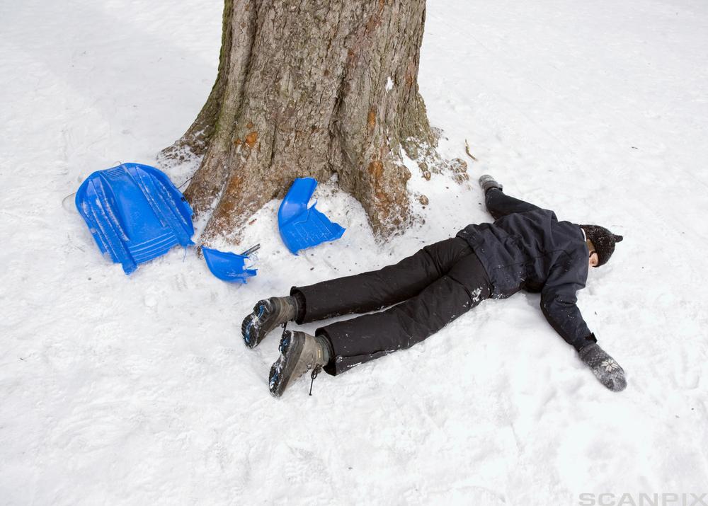 En person ligger på magen i snøen ved siden av et stort tre og et knust akebrett. Foto.
