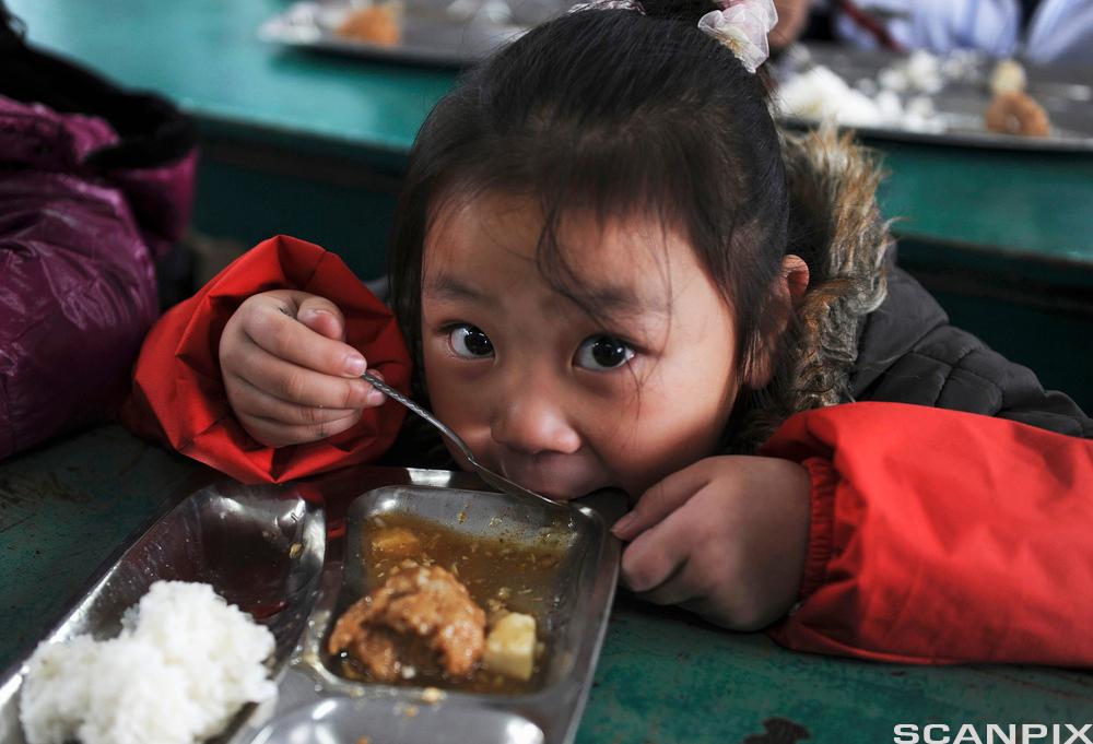 Liten asiatisk jente spiser ivrig. Foto.