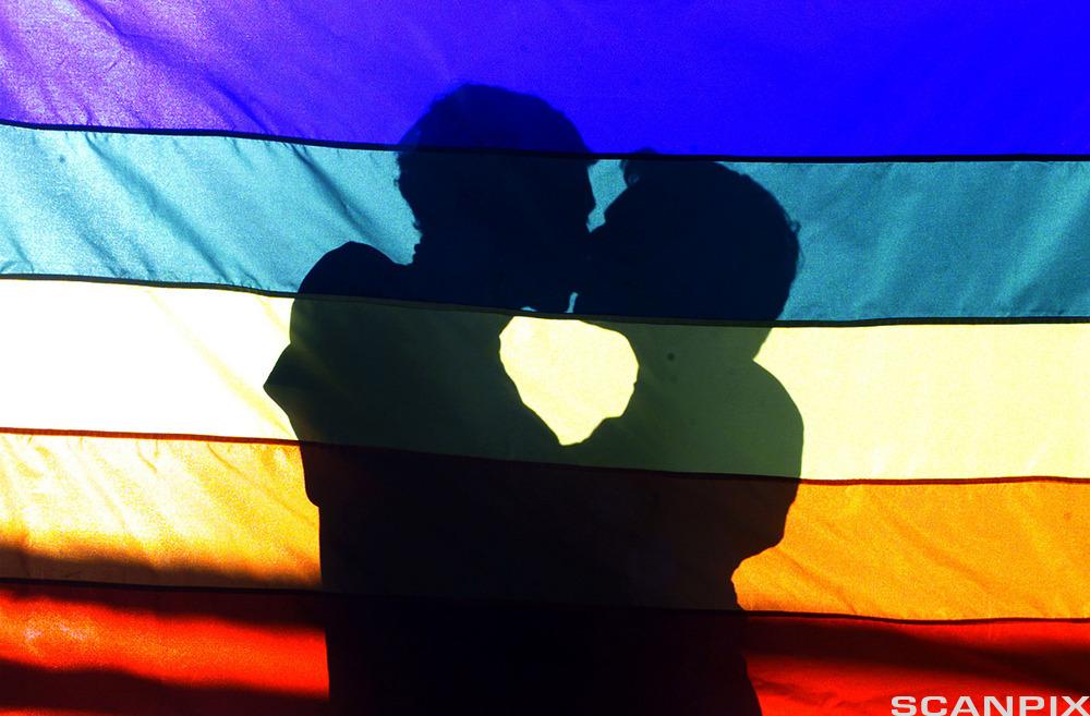 Silhuetten av to menn som kysser foran regnbueflagget. Foto. 