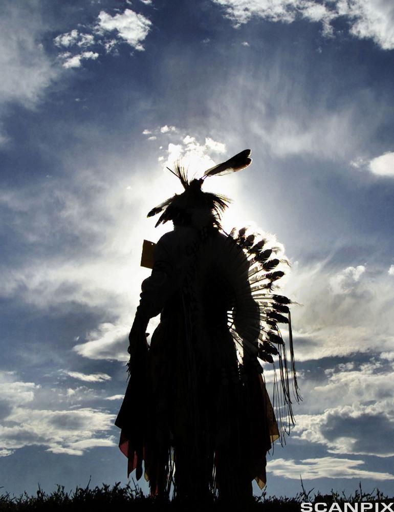 Lakota Warrior