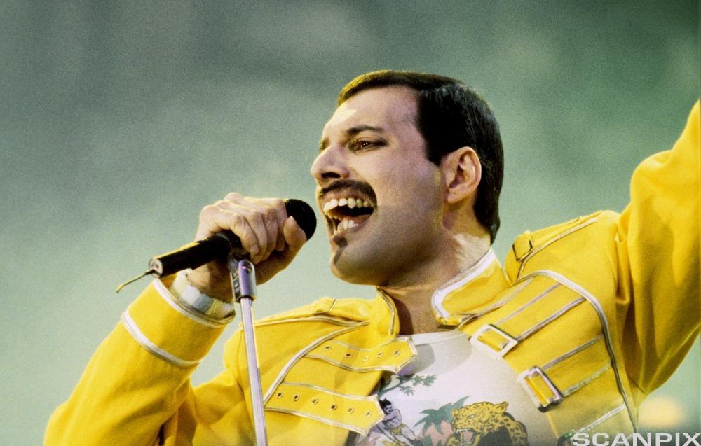 Freddie Mercury had Indian parents and spent most of his youth at a school near Mumbai