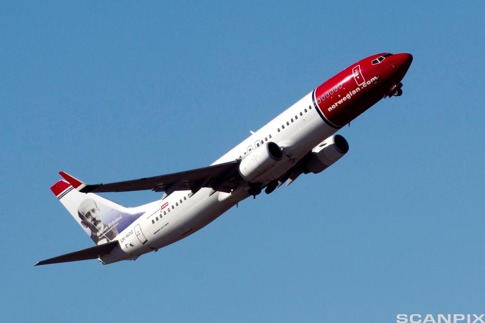 Et fly tar av. Foto.