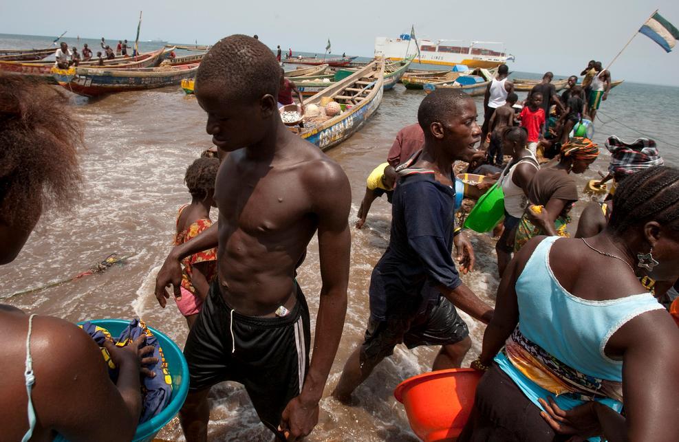 From Sierra Leone. Fishermen bring their catch with boats ashore. Photo.