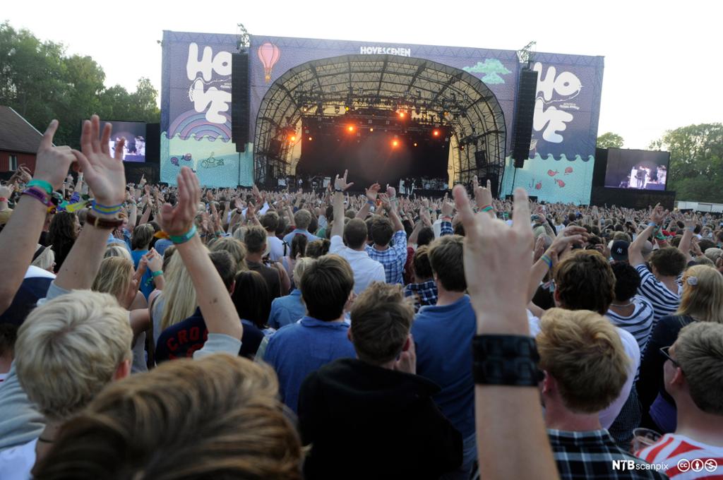 Festivalpublikum sett bakfra. Foto.