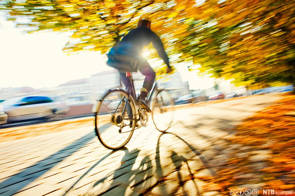 Syklist i høstsol. Foto.