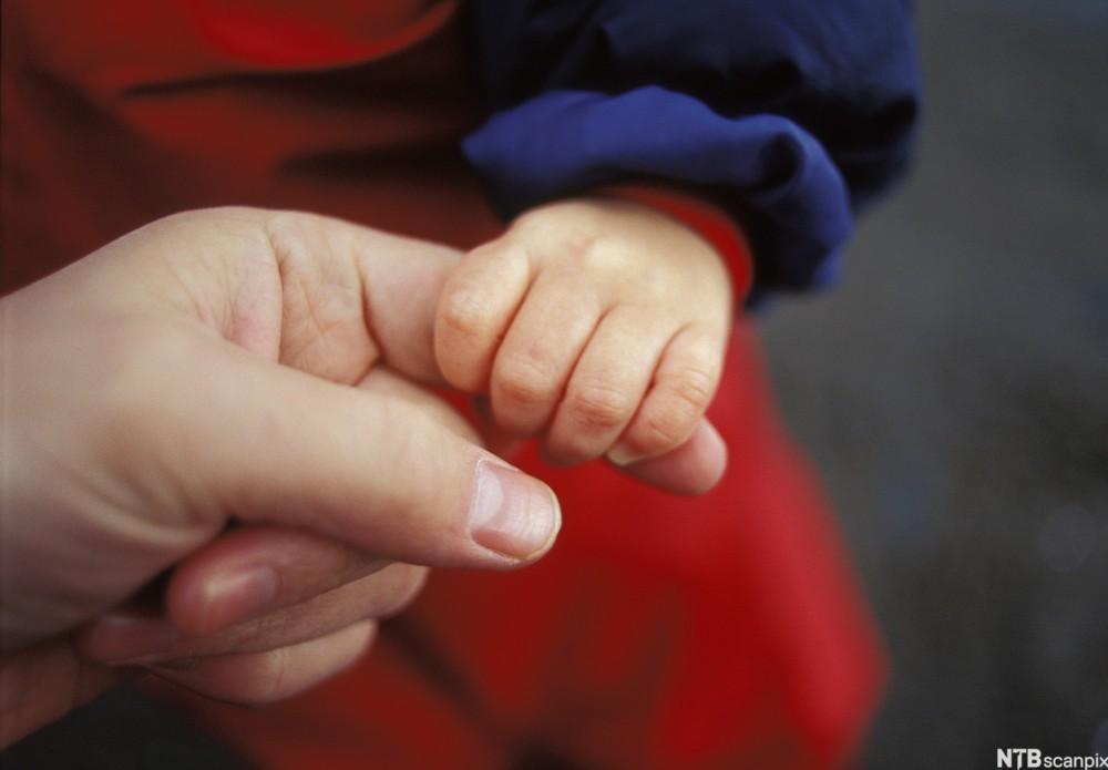 En barnehånd holder i finger på en voksenhånd. Foto.