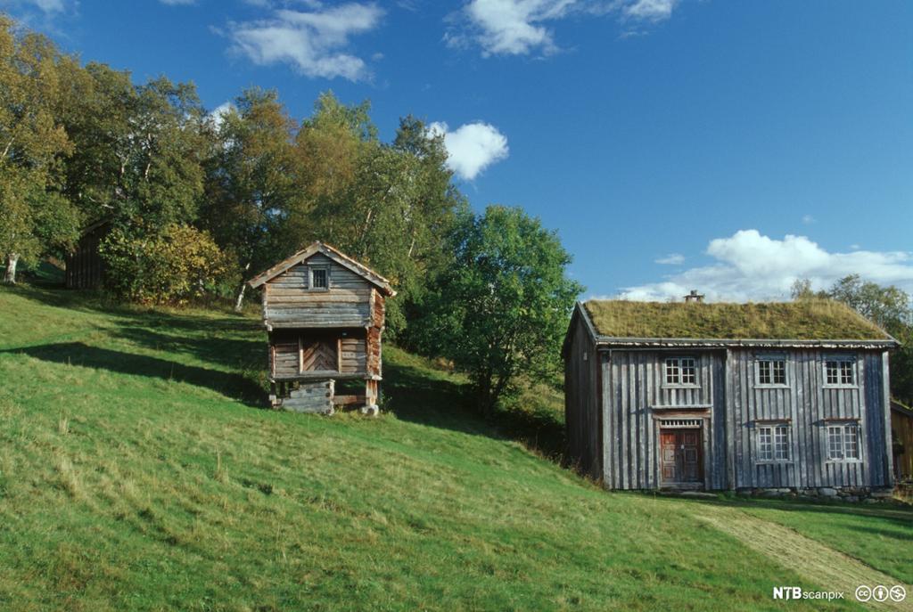 Gammelt trehus med gress på taket og stabbur, Meldal i Trøndelag. Foto.