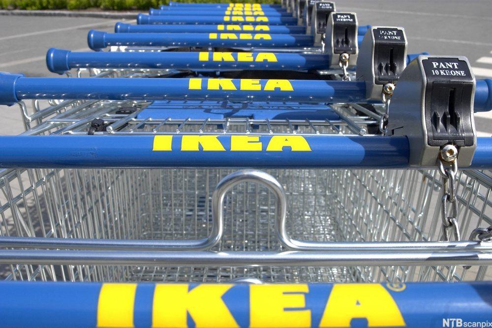 En rekke med handlevogner med IKEA-logo. Foto.