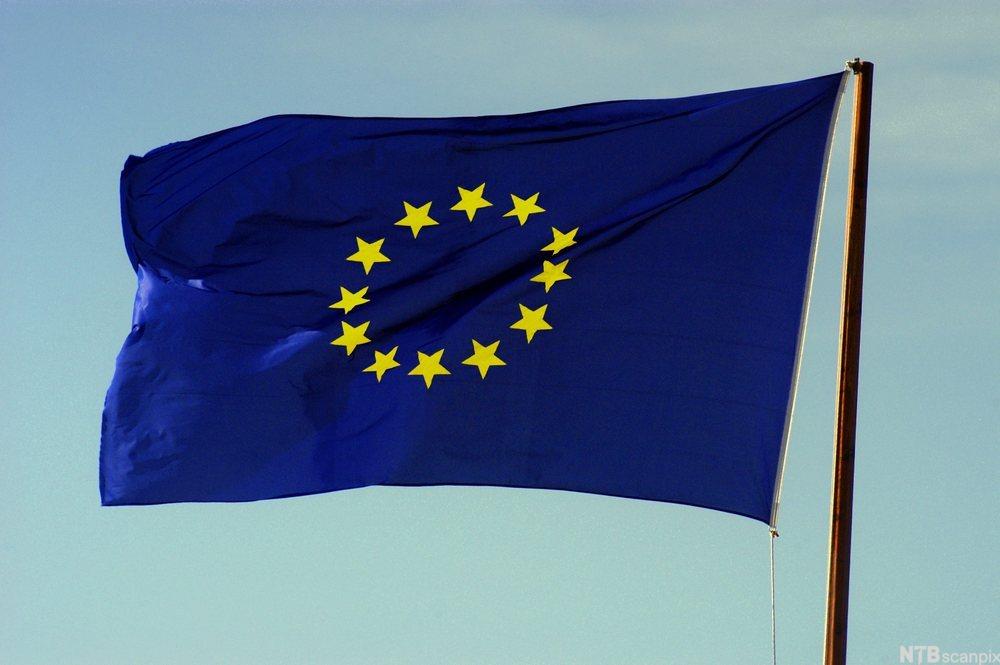 Photo: We see the EU flag on a flag pole. The flag is blue and has a circle of yellow stars. There are twelve stars. 