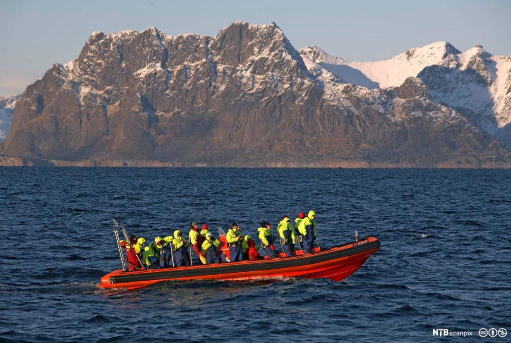 Turister på spekkhoggersafari i Lofoten. Foto.