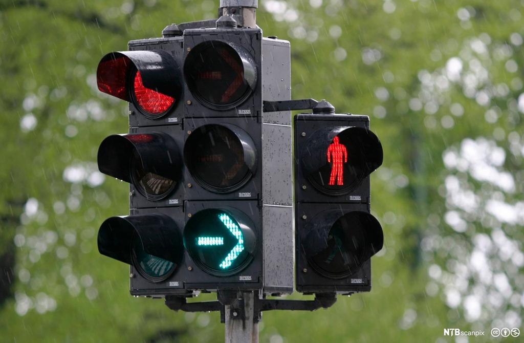 Trafikklys som viser rødt lys, grønn pil og rød mann. Foto.