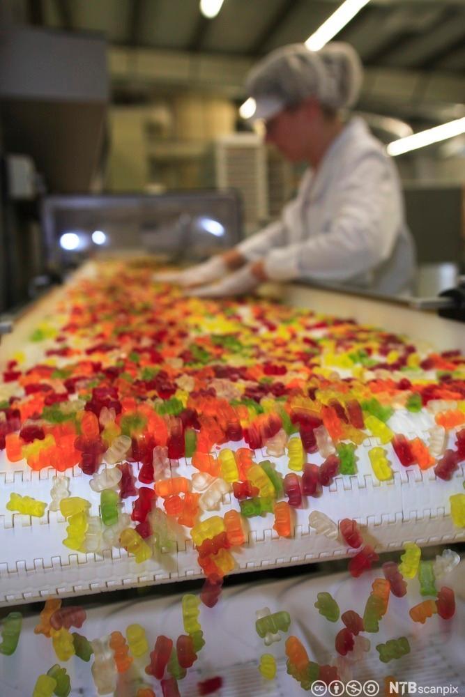 Et samlebånd med gummibjørner på en godterifabrikk. Foto.