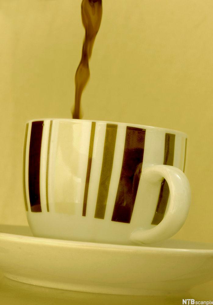 Kaffe helles i en hvit kopp. Foto.