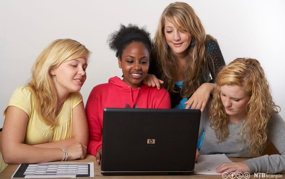 Fire jenter jobbar saman på ei berbar datamaskin. Foto.