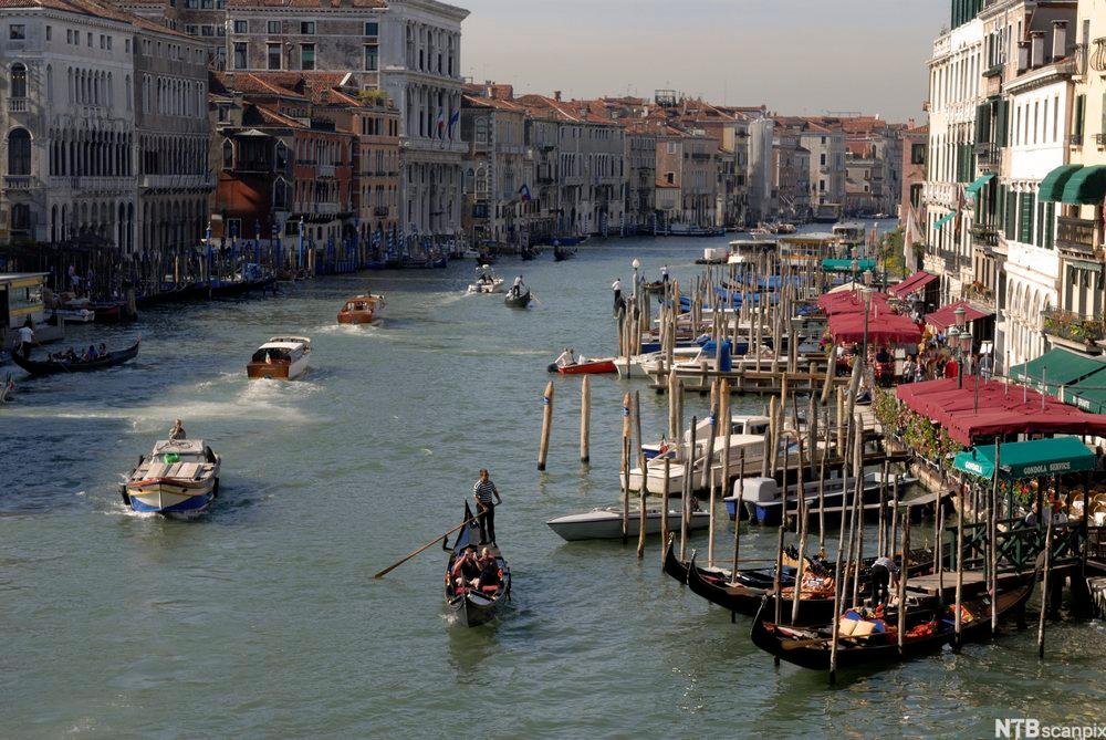 Gondolar og båttrafikk på Canal Grande i bydelen Rialto i Venezia. Foto.