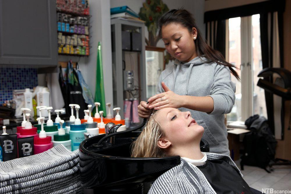 A hairdresser is washing another person’s hair over a wash basin. Photo.