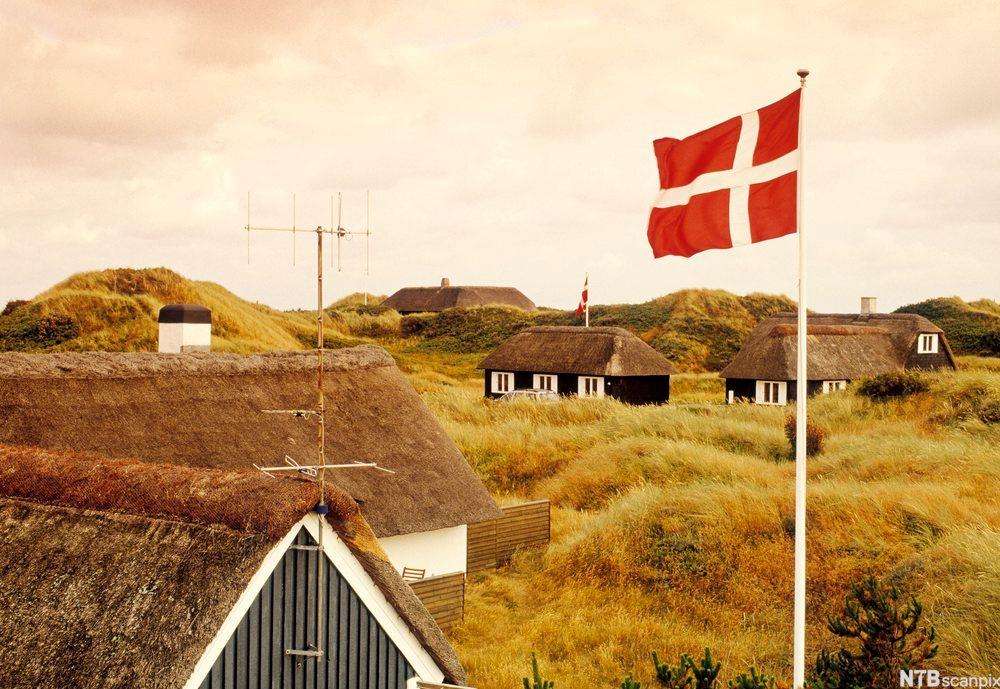 Landskap med sommerhus på grønne enger og et dansk flagg som vaier i vinden. Foto. 