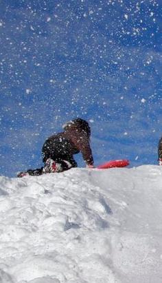 Barn som aker i snøvær.