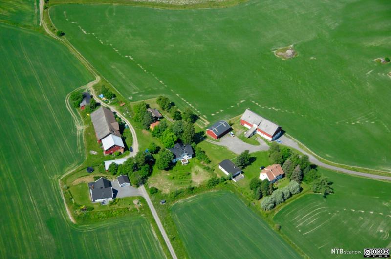 Flyfoto av et gardsbruk med mange bygninger og grønne jorder på alle kanter. Foto.