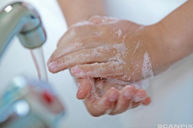 En person vasker hendene med såpe. Foto.