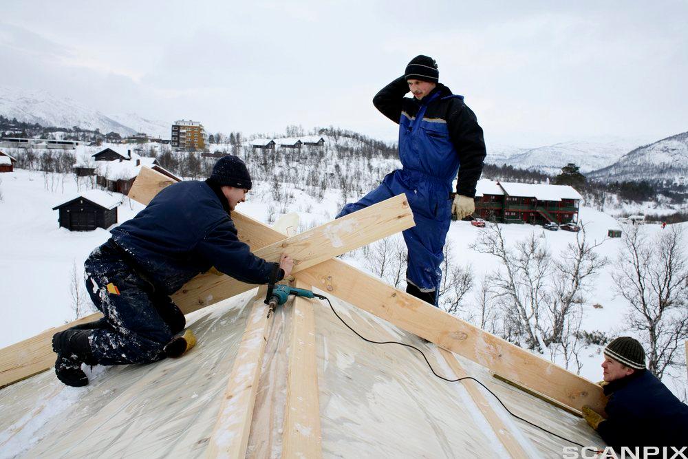 Håndverkere på tak. Foto.