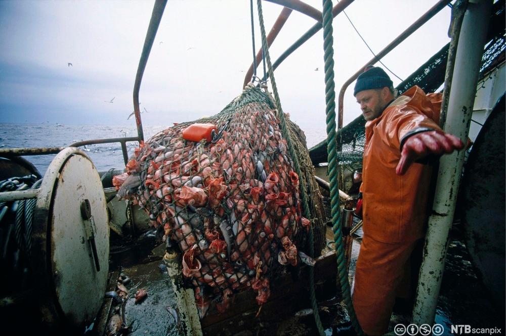 Tysk fisketråler. Foto.