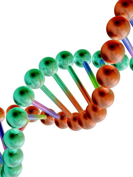 DNA-molekyl 