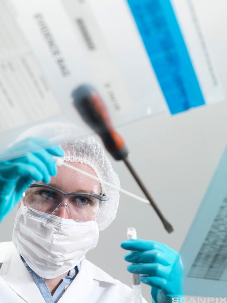 Picture: Forensic science