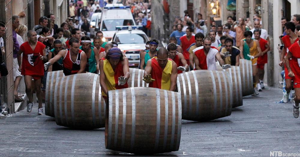 Deltakarar i vintønneløpet "Bravio delle Botti" rullar vintønner framfor seg oppover ei gate i Montepulciano. Foto.