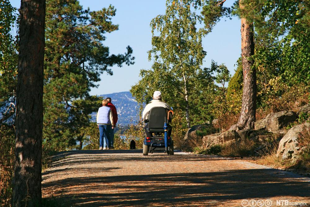 Mann i elektrisk rullestol og par som lufter hund på universelt tilrettelagt turvei. Foto.