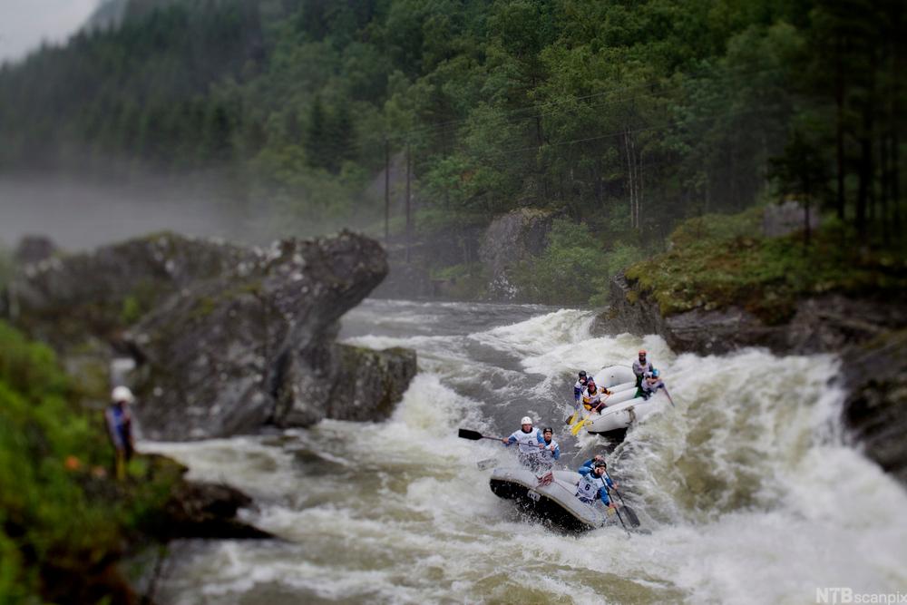 To raftingflåter med mange folk i full fart ned en vill elv. En instruktør står og følger med fra en fjellknaus. Fotografi.