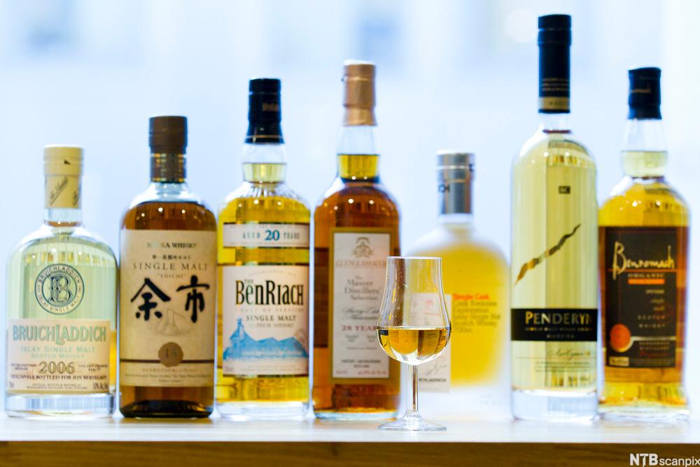 Flasker med ulike typer whisky. Foto.