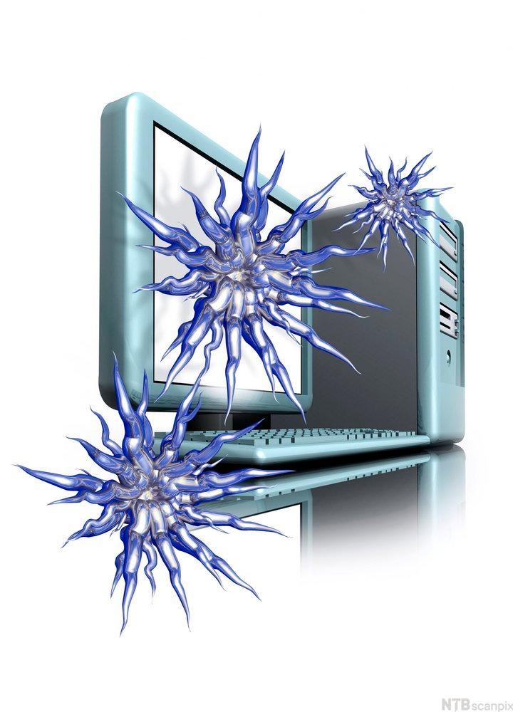 3D-tegning av datavirus i form av store, blå og ekle virus som infiserer en datamaskin. Illustrasjon.