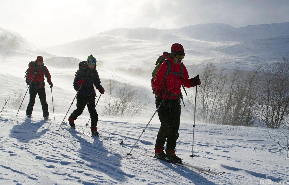 Tre personer går på skitur i den norske fjellheimen, gjennom et forblåst og snørikt landskap. Foto.