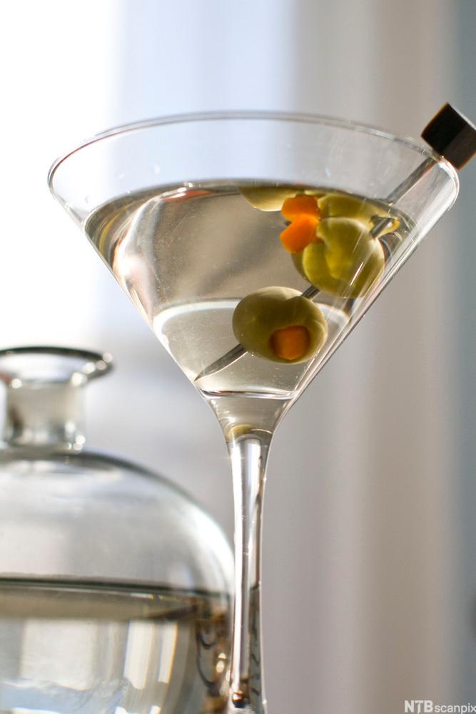 Eit coctailglas med klassisk martini pynta med oliven. Foto.