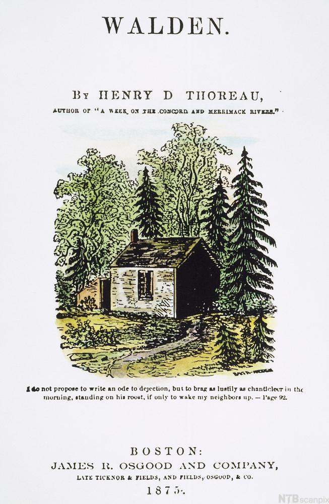 Book cover: Cover for the book *Walden* by Henry David Thoreau. It is illustrated with a picture of a small cabin in the woods. 