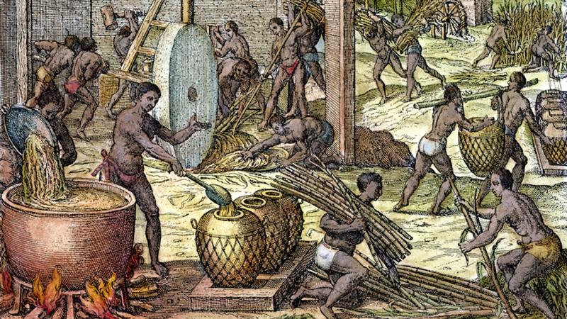 Slaver på sukkerplantasje, illustrasjon av Theodore de Bry.