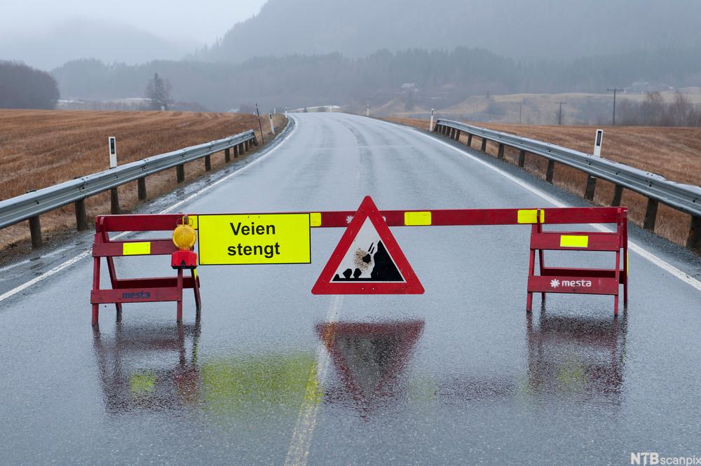 Vegsperring skilta med  "Veien stengt" og eit fareskilt om ras. Foto.