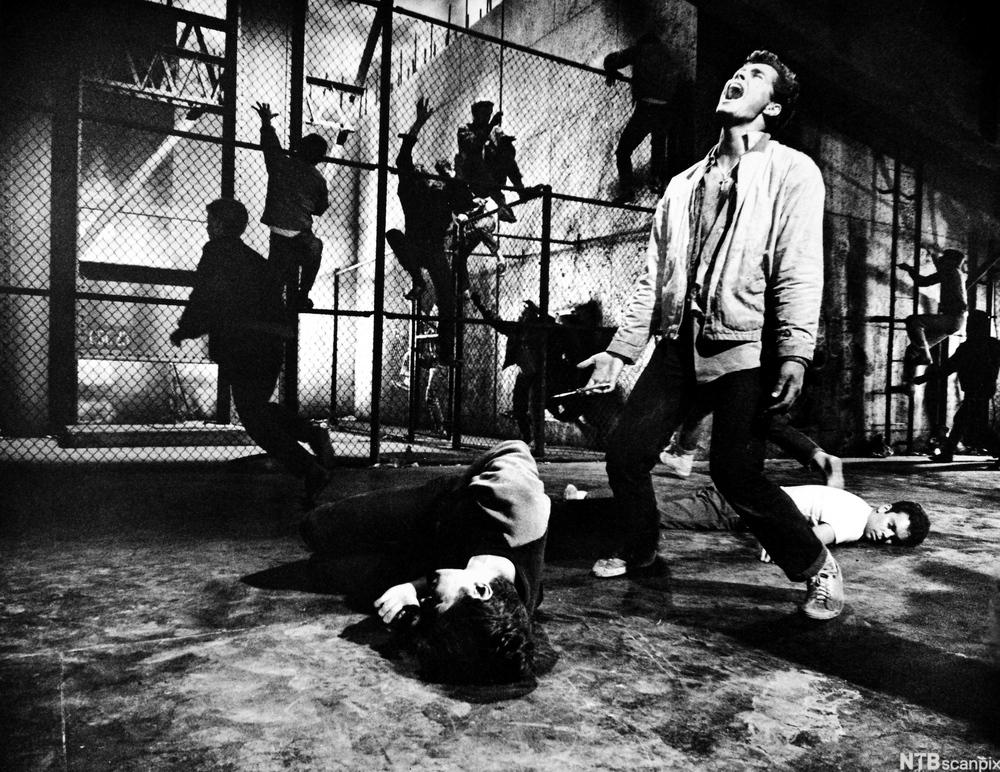 Scene fra West Side Story som viser hovedpersonen Tony, fortvilet over at han har blitt til morder. Foran ham ligger personen han har drept, bak ham ligger hans egen drepte venn. Foto.