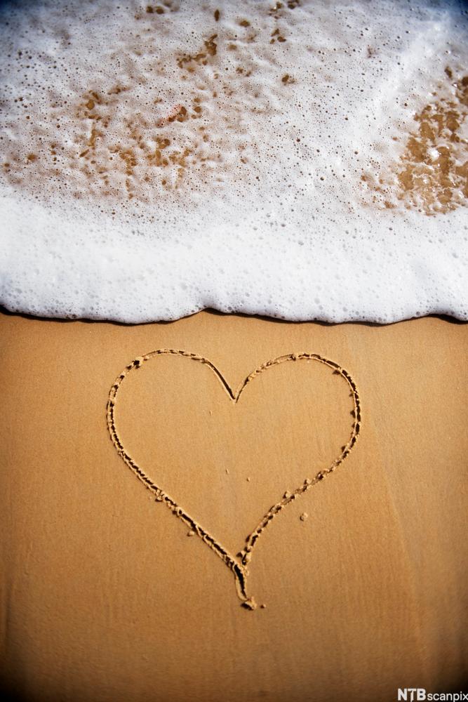 A Love Letter in the Sand