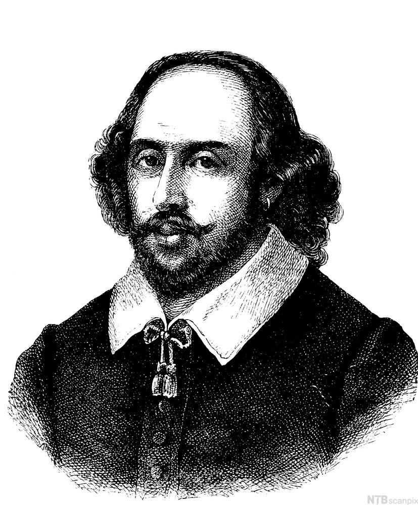 Portrett av den engelske dramatikeren William Shakespeare. Tegning. 