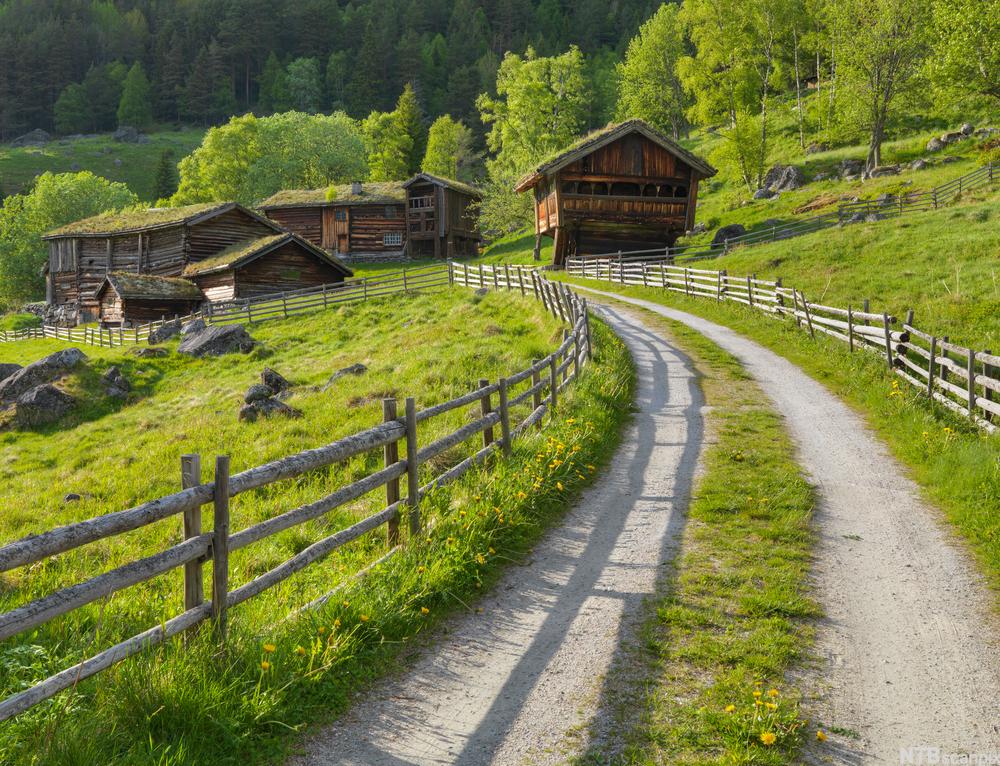 Gårdsvei