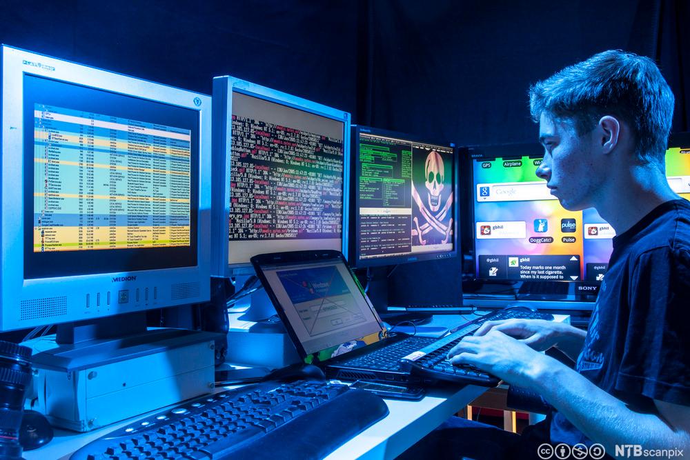 En ung gutt sitter i et dunkelt opplyst rom foran en rekke dataskjermer, hvor det tilsynelatende er hacking på gang. Foto. 