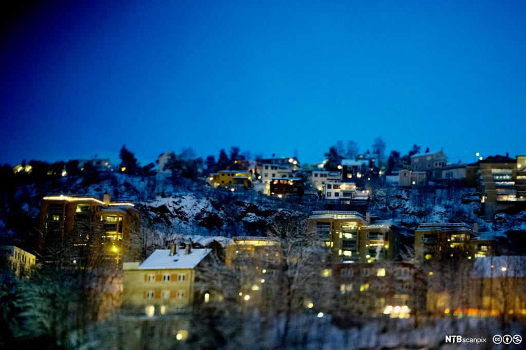 Husklynge i Oslo