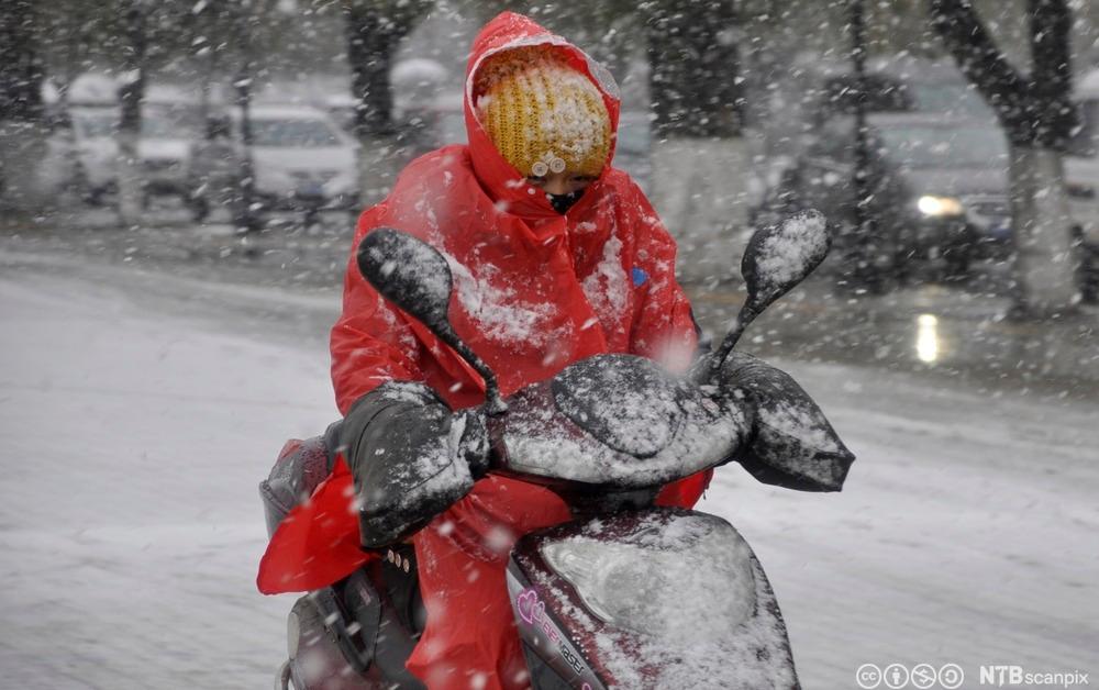 Jente med rød regnjakke kjører moped i snøvær. Foto